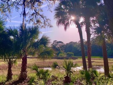 Oasis Cottage, Daufuskie Island Vacation Rental Group