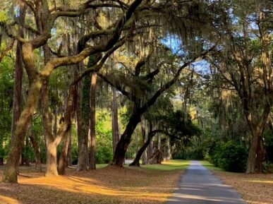Oasis Cottage, Daufuskie Island Vacation Rental Group