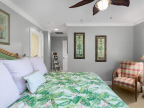 A Daufuskie Turtle, Daufuskie Island Vacation Rental Group