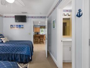 A Daufuskie Turtle, Daufuskie Island Vacation Rental Group