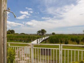 A Daufuskie Turtle, Daufuskie Island Vacation Rental Group