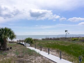 A Daufuskie Turtle, Daufuskie Island Vacation Rental Group