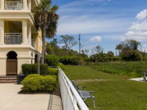 A Daufuskie Turtle, Daufuskie Island Vacation Rental Group