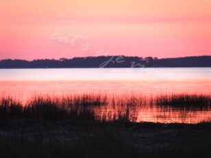 Home, Daufuskie Island Vacation Rental Group