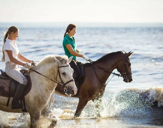 Explore Daufuskie Island, Daufuskie Island Vacation Rental Group