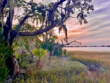 Oasis Cottage, Daufuskie Island Vacation Rental Group