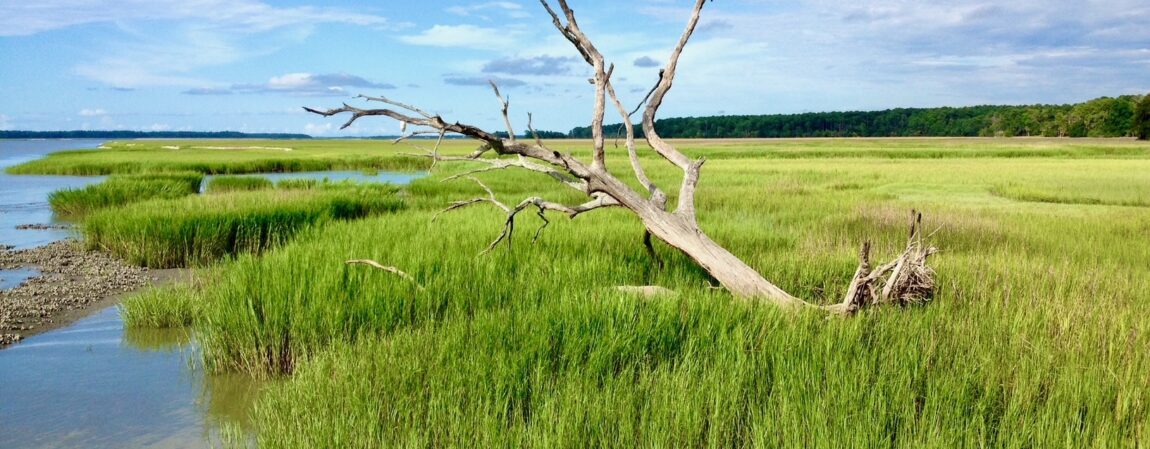 Home, Daufuskie Island Vacation Rental Group