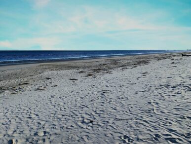 Pelican&#8217;s Perch, Daufuskie Island Vacation Rental Group