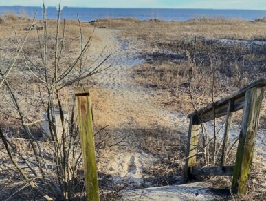 Pelican&#8217;s Perch, Daufuskie Island Vacation Rental Group