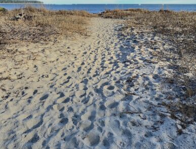 Seaside Escape, Daufuskie Island Vacation Rental Group