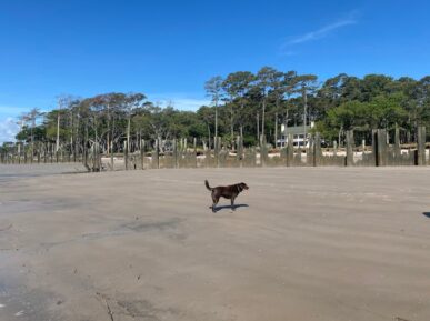 Twigg House, Daufuskie Island Vacation Rental Group