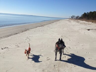 Beachcomber Cottage, Daufuskie Island Vacation Rental Group