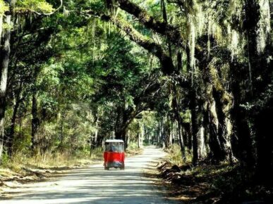 Blue Fuskie Cottage, Daufuskie Island Vacation Rental Group