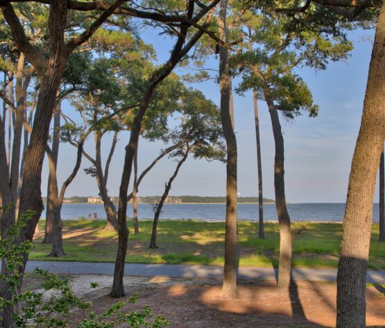 Home, Daufuskie Island Vacation Rental Group