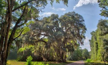 History, Daufuskie Island Vacation Rental Group