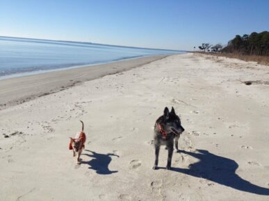 Daufuskie Escape Cottage, Daufuskie Island Vacation Rental Group