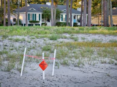 Daufuskie Escape Cottage, Daufuskie Island Vacation Rental Group