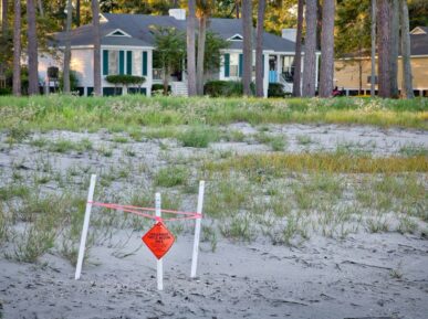 Beach Overlook Cottage, Daufuskie Island Vacation Rental Group