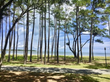 Beach Overlook Cottage, Daufuskie Island Vacation Rental Group