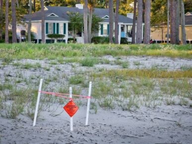 Sweetgum Cottage, Daufuskie Island Vacation Rental Group