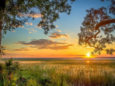 Sycamore Cottage, Daufuskie Island Vacation Rental Group