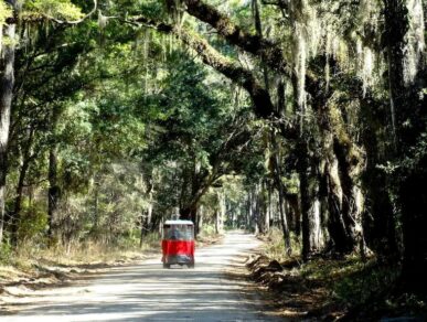 Daufuskie Tree House, Daufuskie Island Vacation Rental Group