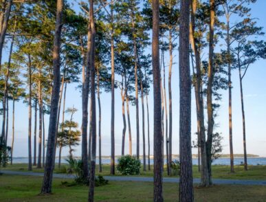 Water Oak Cottage, Daufuskie Island Vacation Rental Group