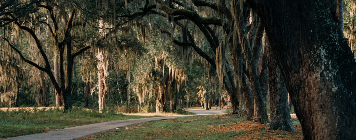 Home, Daufuskie Island Vacation Rental Group